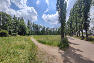 Baumoval: Bild von Bäumen im Oval gepflanzt