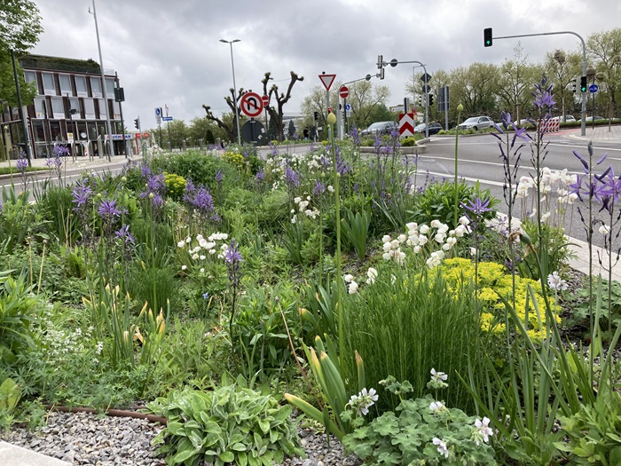 Klimaangepasste Umgestaltung Herrenberger Str. Klimaangepasste Umgestaltung Herrenberger Str.