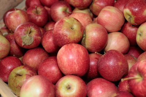 Kiste voller Äpfel