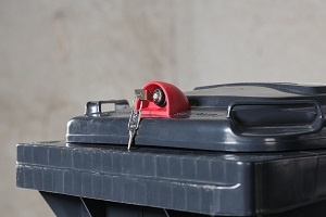 1. Schloss Restmülltonne_web_300px