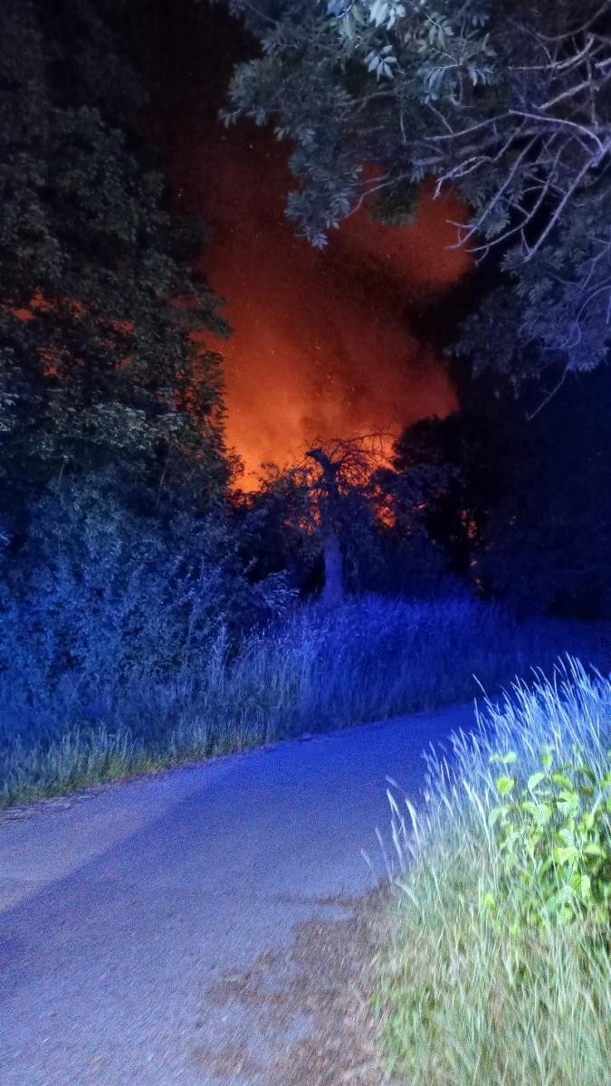 Feuerwehrfahrzeug