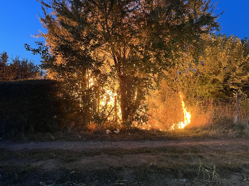 Flammen