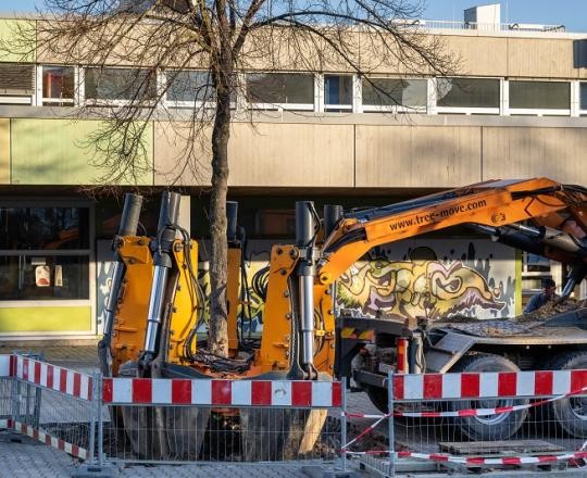 03_Baumverpflanzung-BWZ-2023_ChristianaKunz