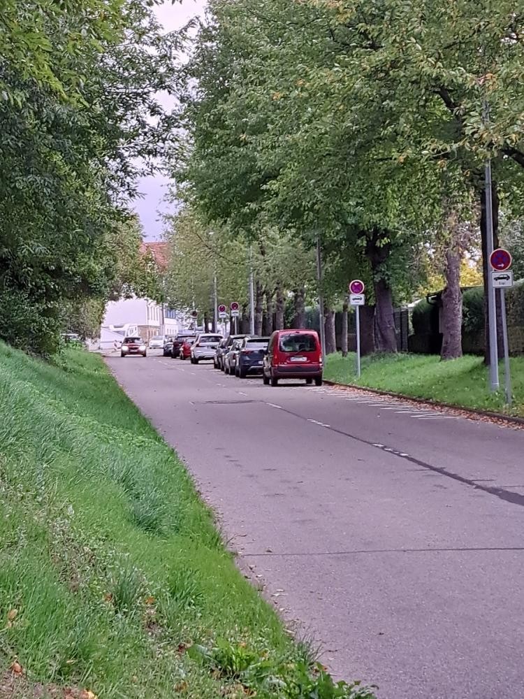 Parkverbotschilder außer für Autos auf Straße mit Bäumen