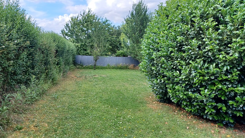 Gartengrundstueck Ludwigsburg, Flutstück 1871-14 Angebot 25, Wiese