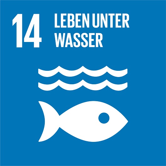 zur Seite Leben unter Wasser SDG 14