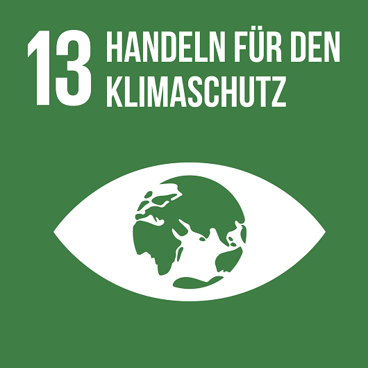 zur Seite Handeln für den Klimaschutz SDG 13