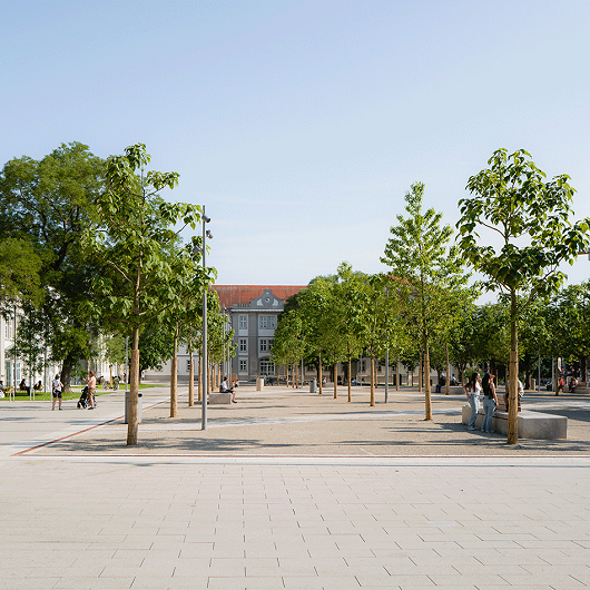 Bäume Arsenalplatz Ludwigsburg