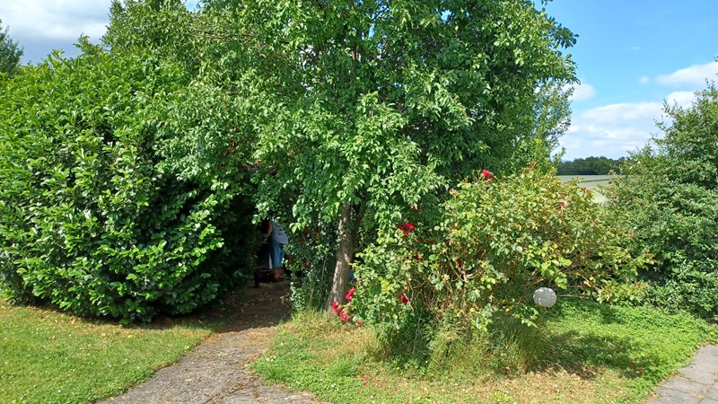 Gartengrundstück Ludwigsburg, Flutstück 1871-14 Angebot 25, Bäume