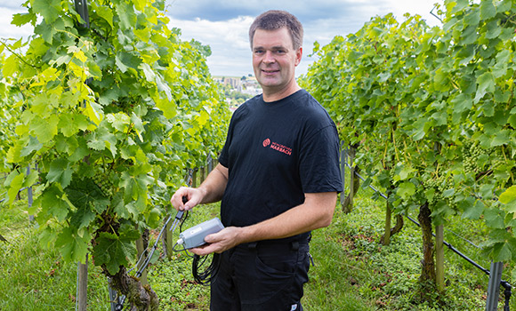 Matthias Hammer steht zwischen Weinstöcken. In der Hand hält er einen Sensor.