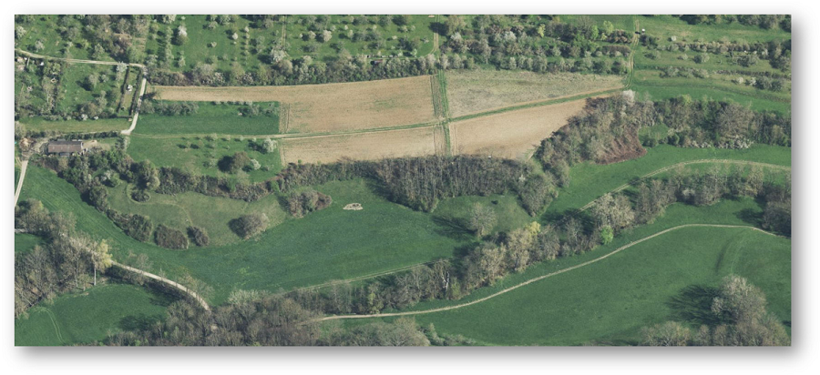 Luftbild auf Berg, Wald und Felder