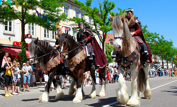 Drei Shire Horses mit Reitern. Am Straßenrand stehen applaudierende Menschen.