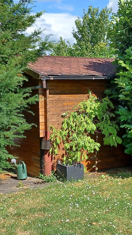 Gartengrundstück Ludwigsburg, Flutstück 1871-14 Angebot 25, Laube