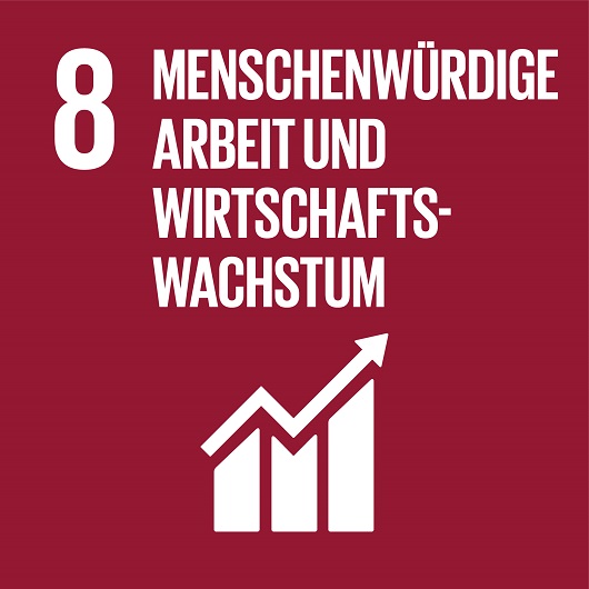 zur Seite Menschenwürdige Arbeit und Wirtschaftswachstum SDG 8