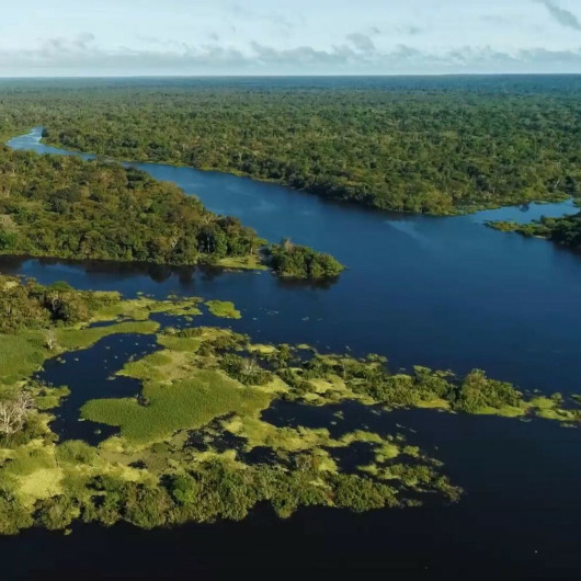 Zwei Flüssel treffen sich umgeben von grünem Regenwald.
