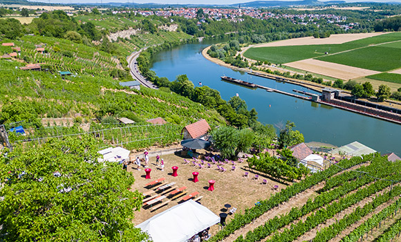 Blick auf Neckar und Steillagen.
