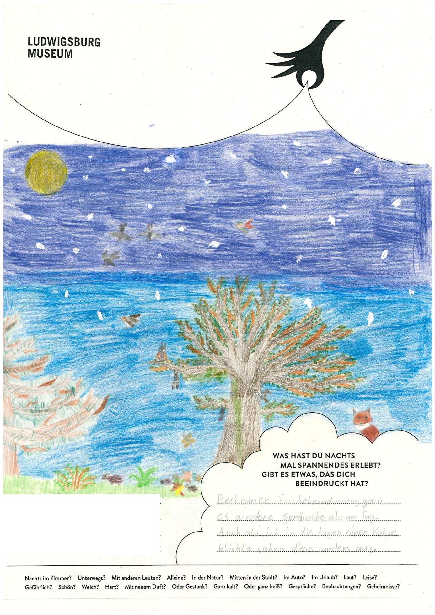 Plakatwettbewerb Nachtaktiv