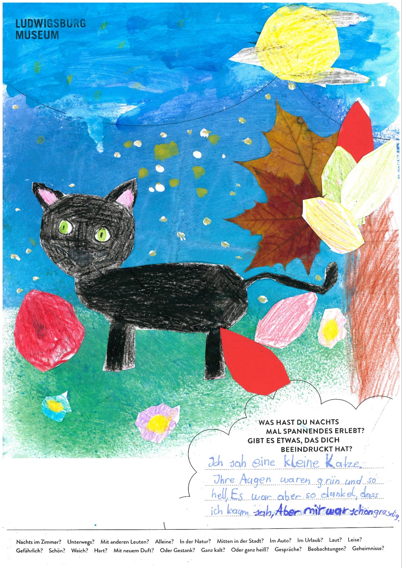 Plakatwettbewerb Nachtaktiv