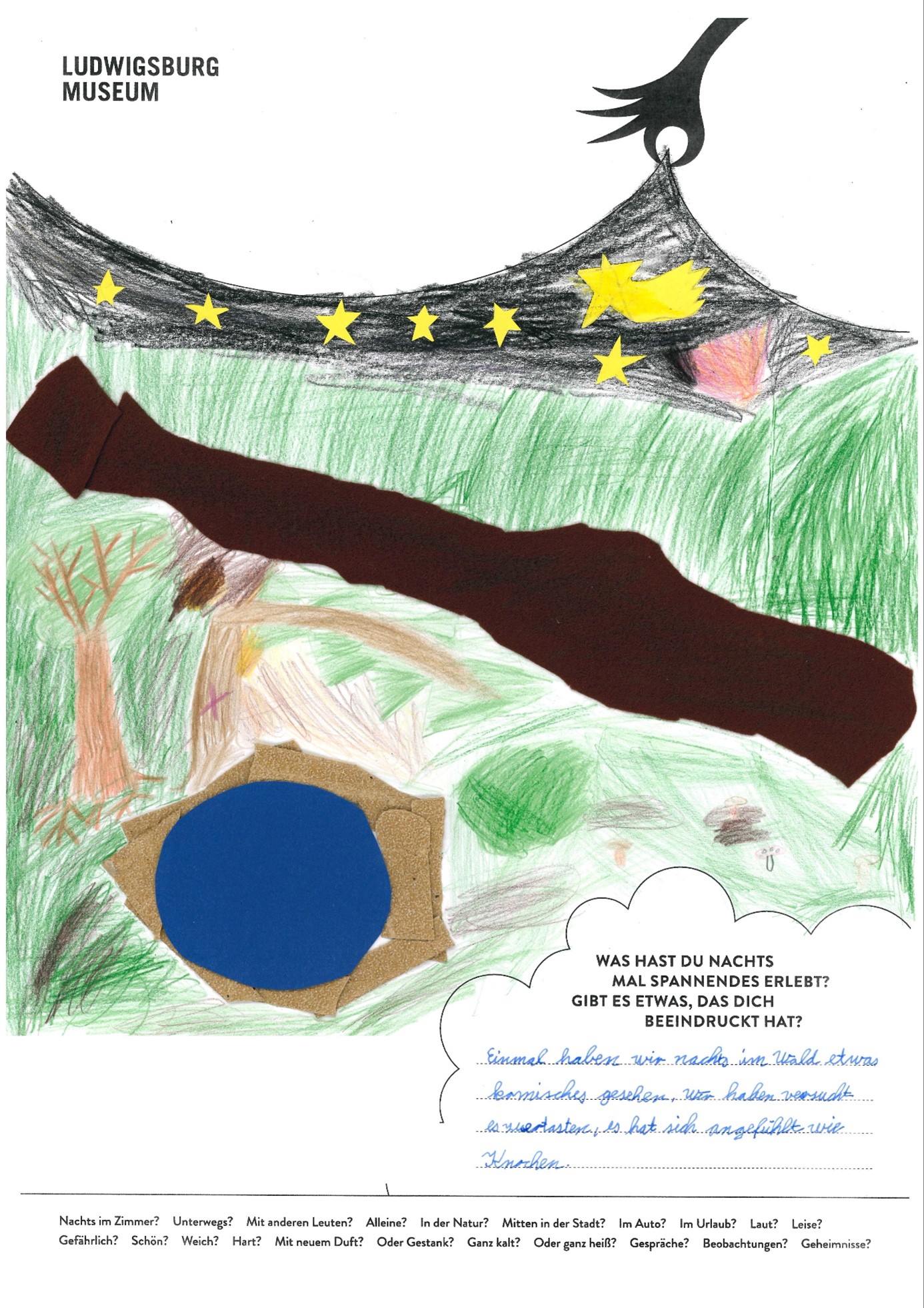 Plakatwettbewerb Nachtaktiv