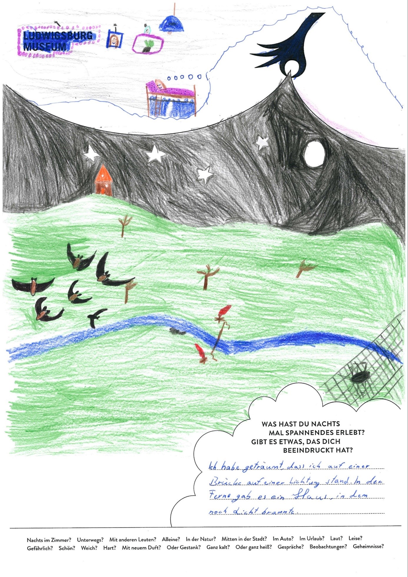 Plakatwettbewerb Nachtaktiv