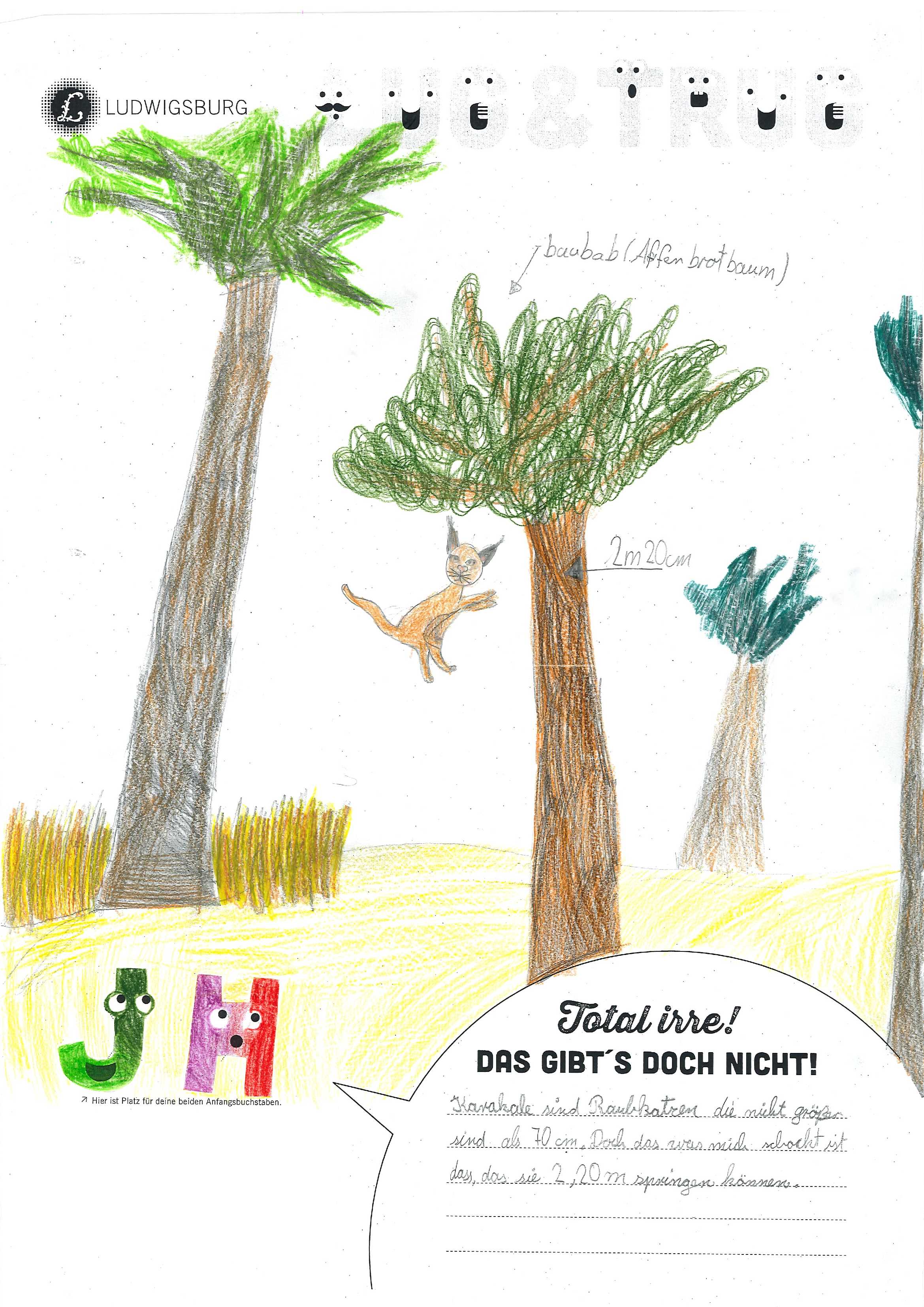 Plakatwettbewerb Staunen