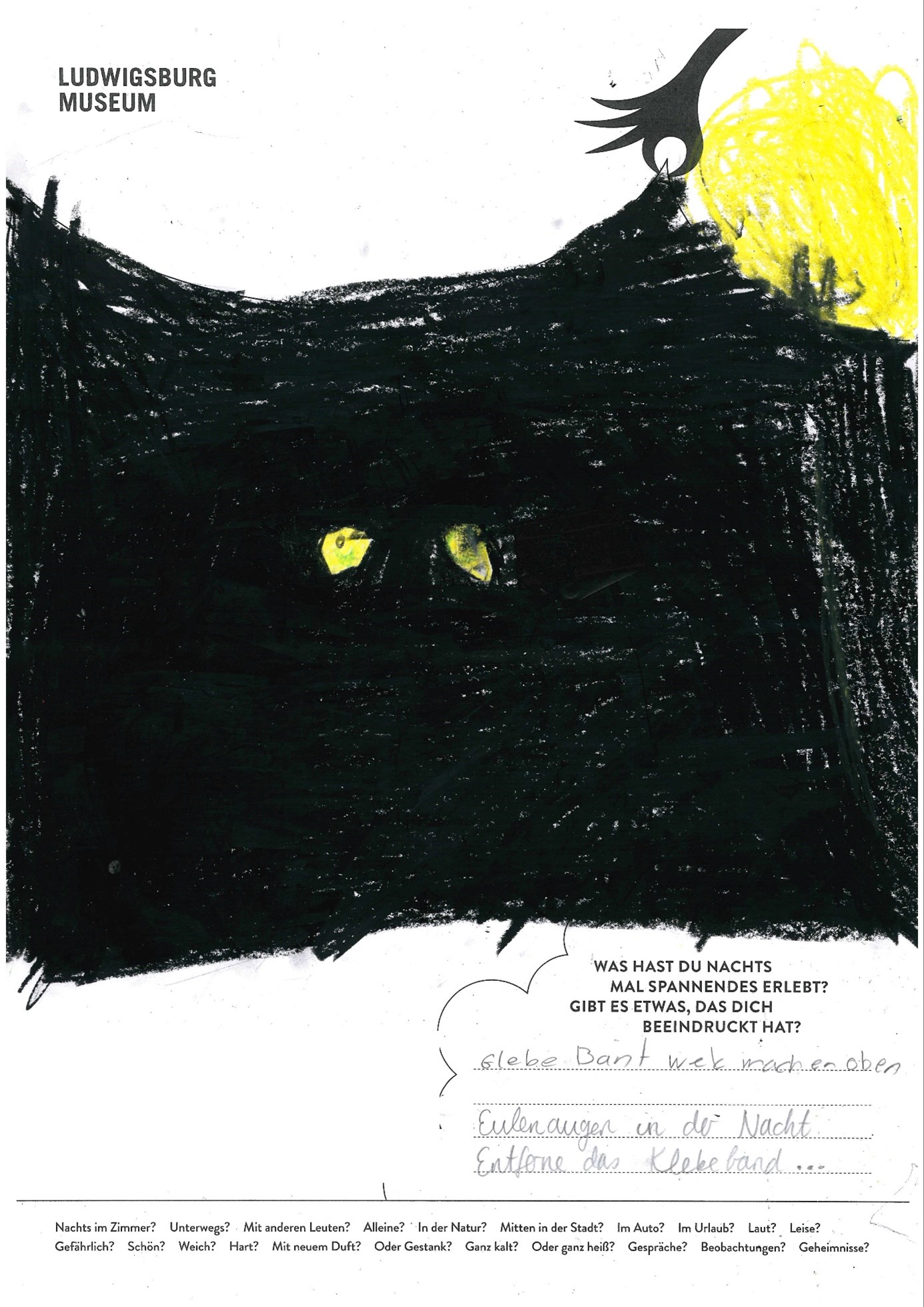 Plakatwettbewerb Nachtaktiv