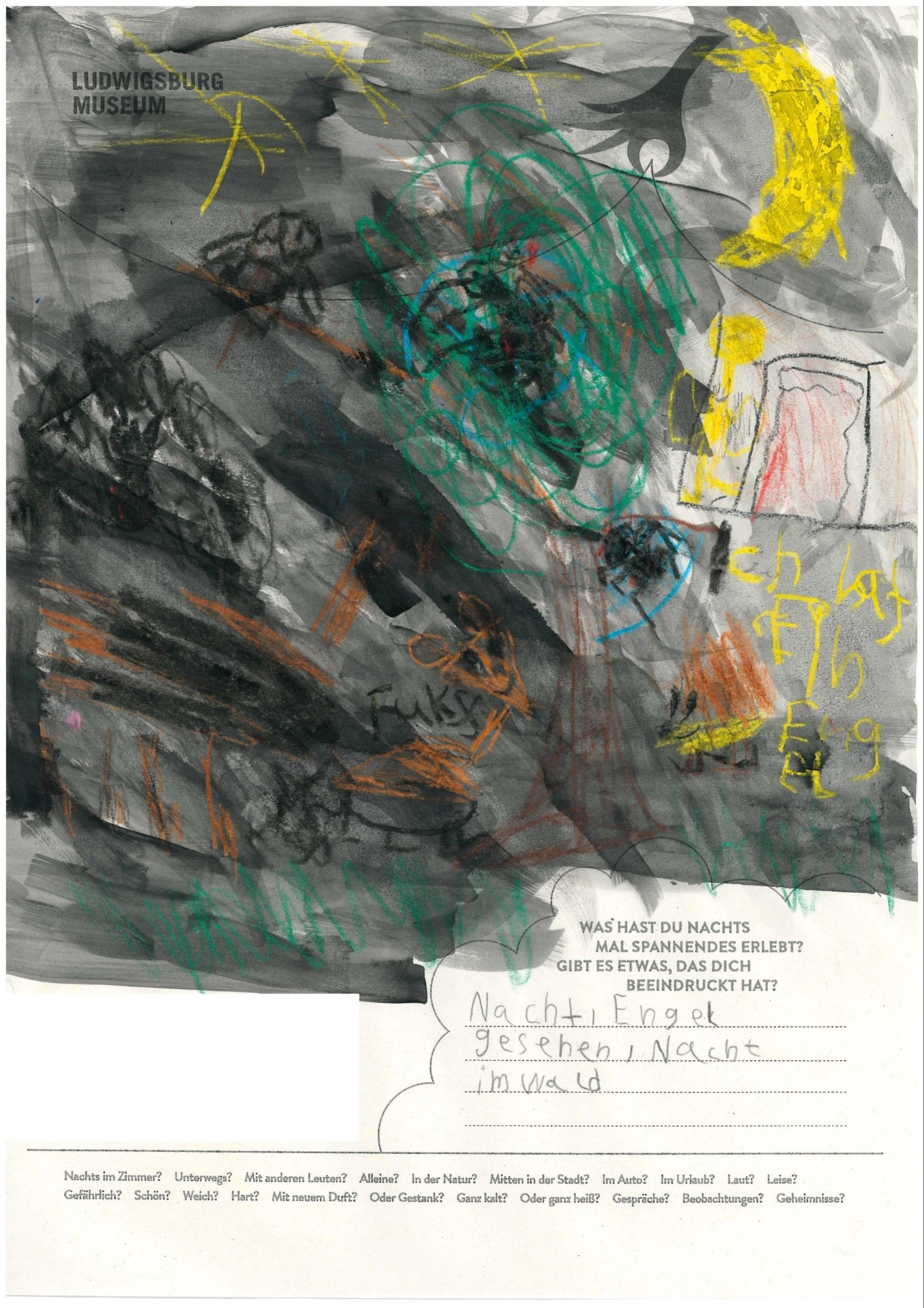 Plakatwettbewerb Nachtaktiv