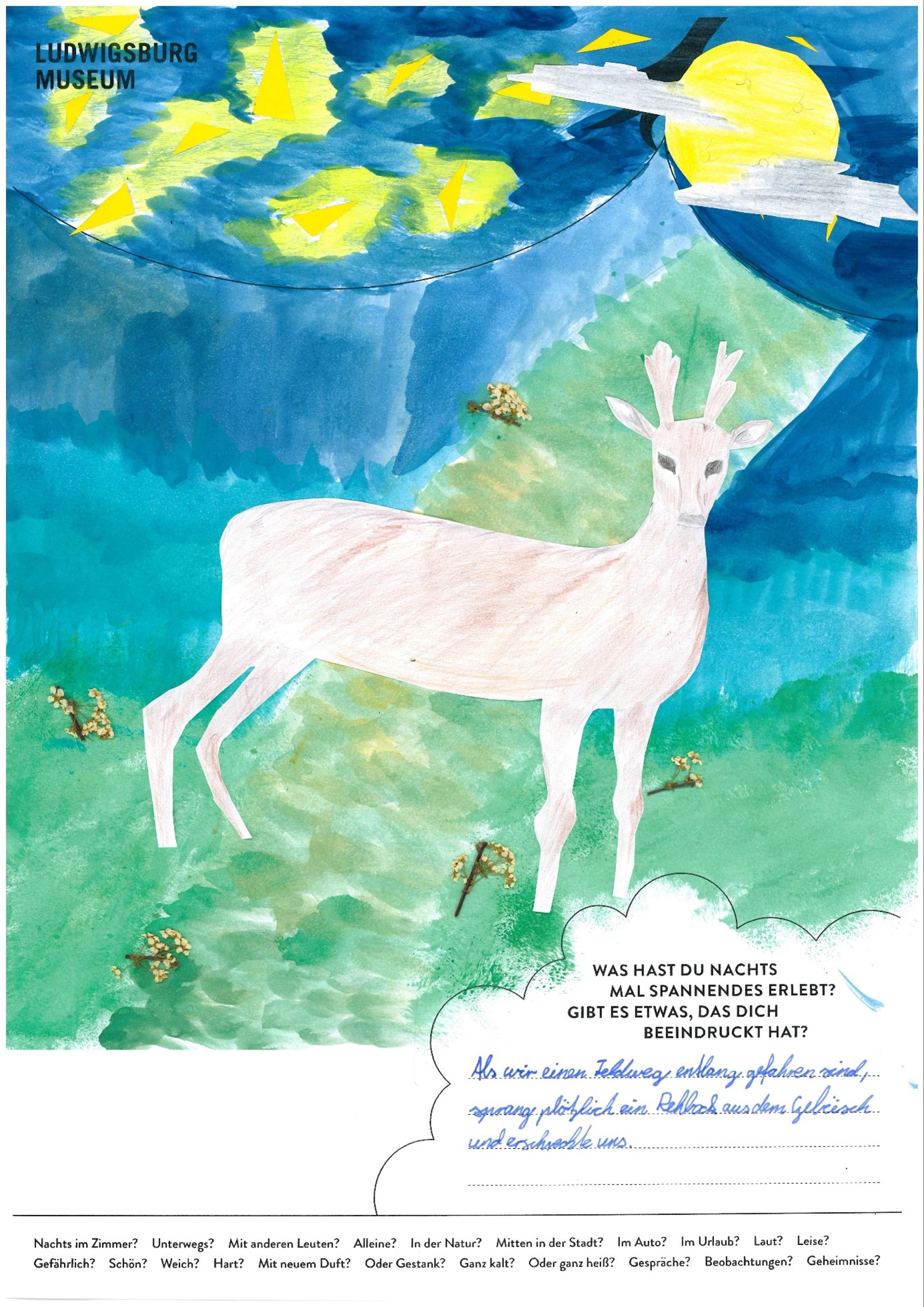 Plakatwettbewerb Nachtaktiv