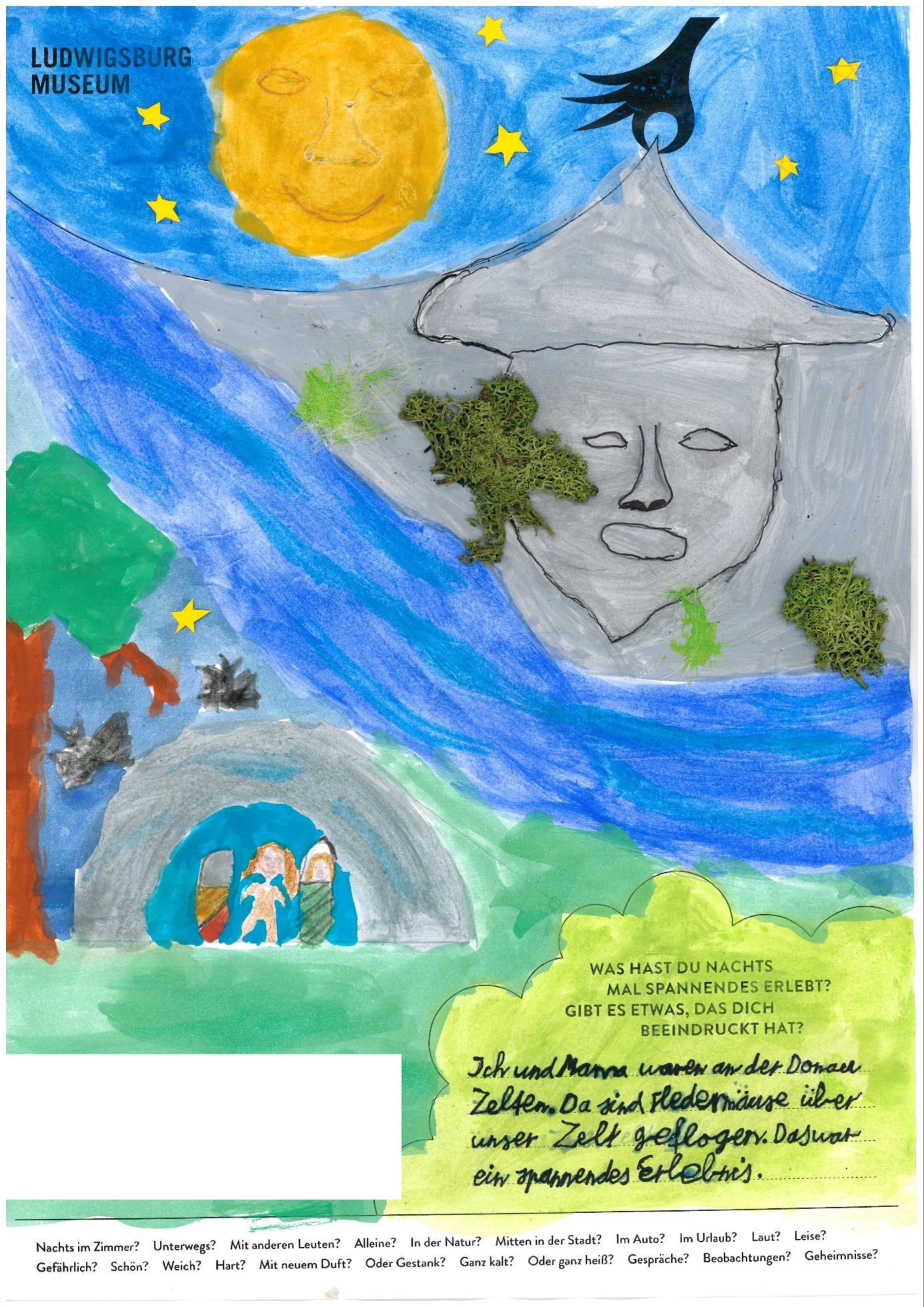 Plakatwettbewerb Nachtaktiv