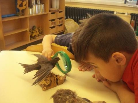 Zwei Kinder betrachten einen Vogel durch eine Lupe