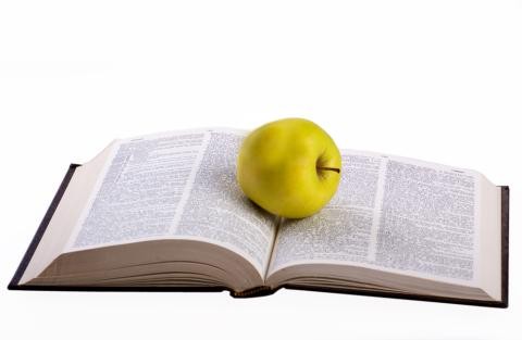 Lernen und gesunde Pausen gehören zum Schulalltag