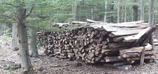 Holzstapel gestapelte Baumstämme im Wald