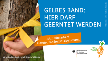 Gelbes Band an Obstbaum, Infos zur Aktion 