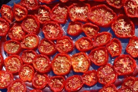 Tomatenscheiben auf einem Backblech