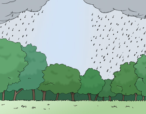 Regen f&auml;llt auf den Wald