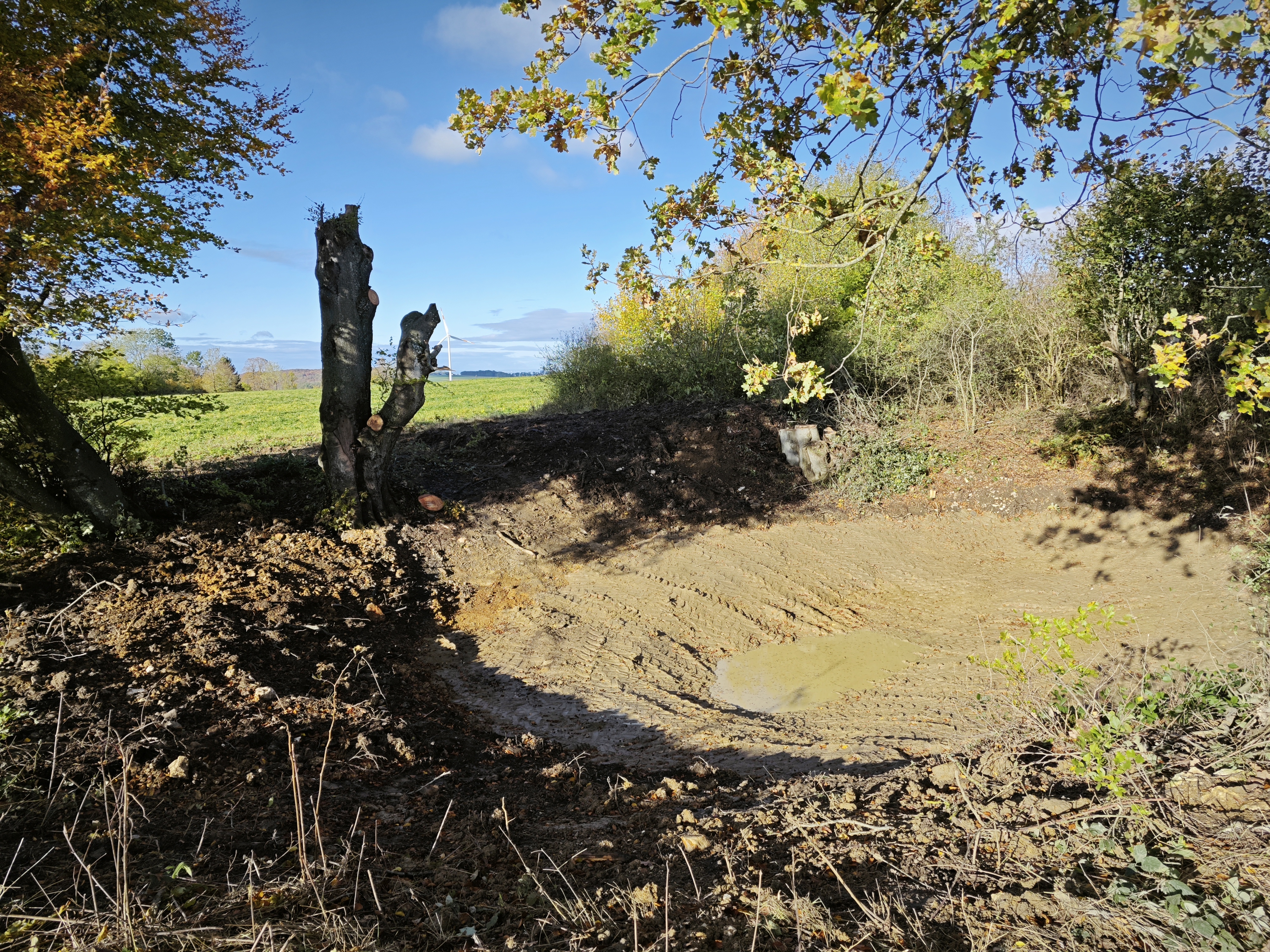 Biotopverbundma&szlig;nahme T&uuml;mpelsanierung