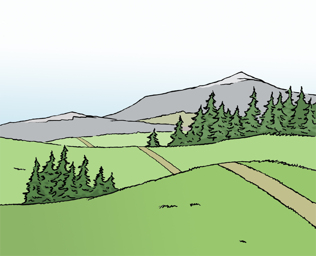 eine H&uuml;gellandschaft mit einem Weg &uuml;ber Berg und Tal