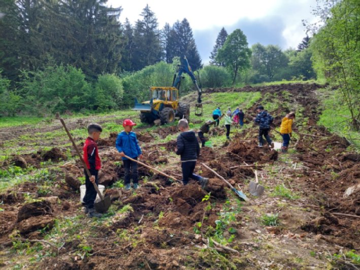 Kinder graben Pflanzl&ouml;cher f&uuml;r Kartoffeln