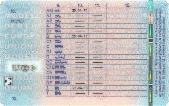 Muster EU-F&uuml;hrerschein R&uuml;ckseite