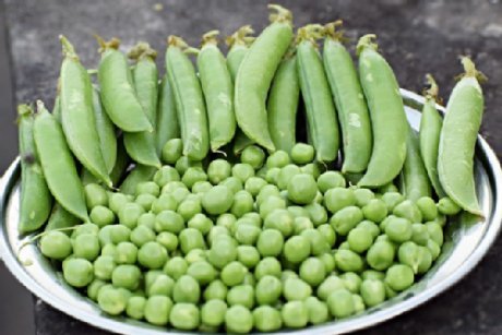 In einem Teller liegen Erbsen, mit und ohne Schale 