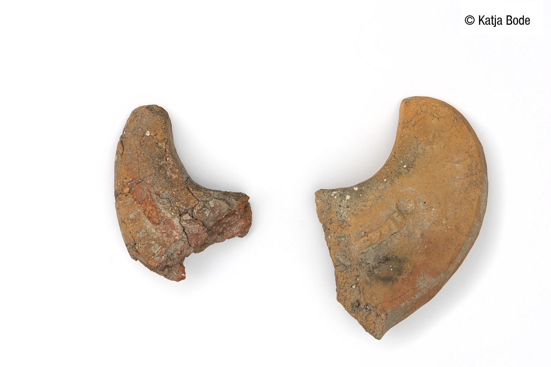 Bruchst&uuml;cke der bei M&uuml;hlhausen im T&auml;le entdeckten Mondh&ouml;rner der sp&auml;tbronzezeitlichen Urnenfelderkultur (Foto: Katja Bode)