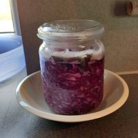 Rotkohl im Glas zum Fermentieren 