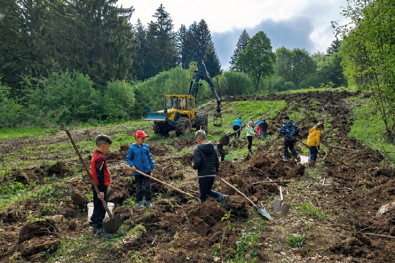 Kinder graben Pflanzl&ouml;cher f&uuml;r Kartoffeln