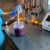 Rotkohl im Glas stampfen