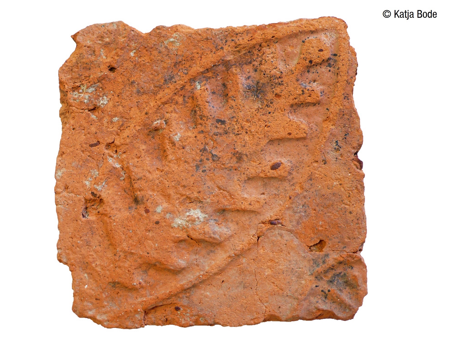 Die Tonfliese zeigt ein von einem Spitzoval umgebenes Eichblatt (Foto: Katja Bode)