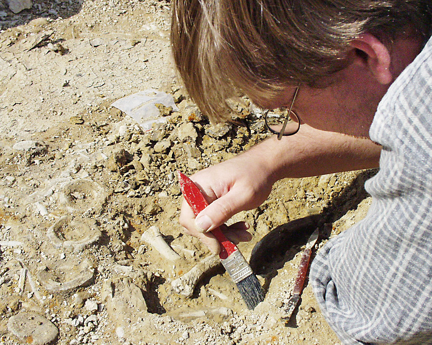 Vorsichtige Freilegung von Funden Vorsichtige Freilegung von Funden